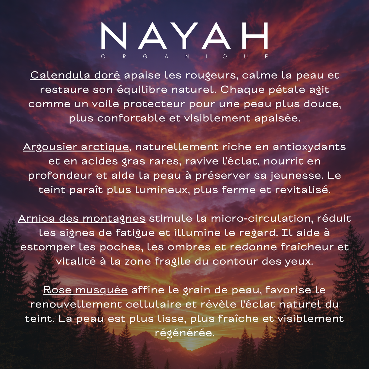 La routine anti-âge pour peaux matures - 4 soins complets